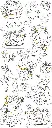 71ttfH1cPAL._AC_SL1500_.webp