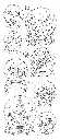 71V9u-DxYrL._AC_SL1500_.webp