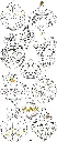 71hfCWhIEVL._AC_SL1500_.webp
